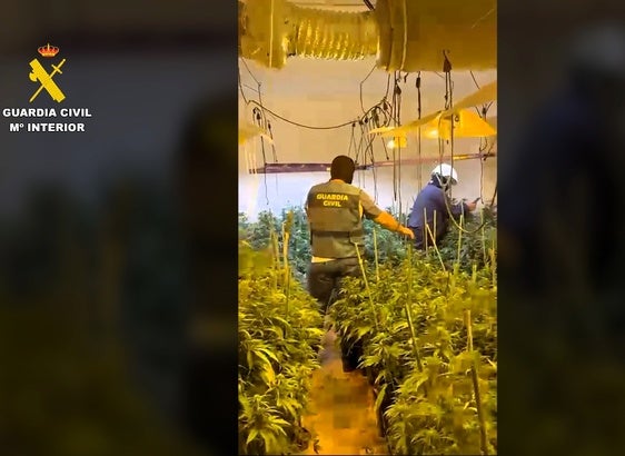 MOMENTO DE LA INTERVENCIÓN.