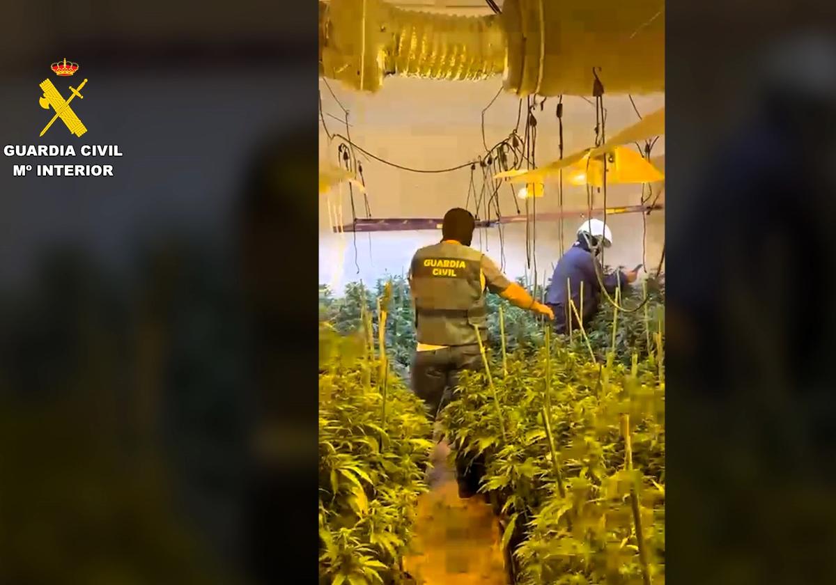 MOMENTO DE LA INTERVENCIÓN.