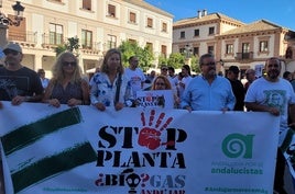 Representantes de Andalucía Por Sí en la manifestación del sábado y solicitud de IU-Podemos.