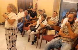 Integrantes de la plataforma en el pleno del pasado jueves.