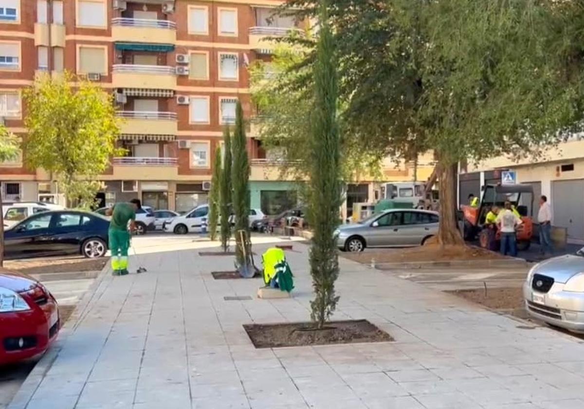 LOS OPERARIOS, DANRO LOS ÚLTIMOS RETOQUES.