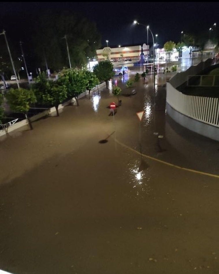 Las últimas y copiosas precipitaciones dejan beneficios en el campo