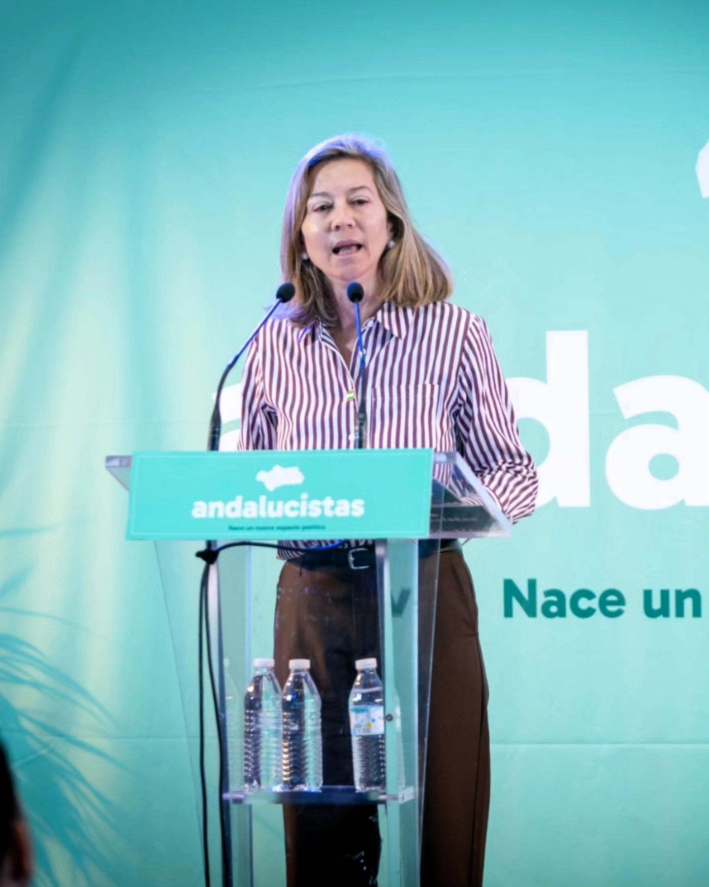 ENCARNA CAMACHO Y MANIFESTACIÓN DEL PASADO DÍA 9 DE NOVIEMBRE EN ANDÚJAR CONTRA LA PLANTA DE BIOGÁS QUE SE PRETENDE IMPLANTAR EN EL MUNICIPIO.