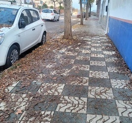 ACERADO ESPARCIDOS POR LAS ACERAS.