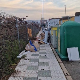 BASURA ACUMULADA EN LA ZONA DE LA PLAZA DE TOROS Y EN LOS ENTORNOS RURALES.