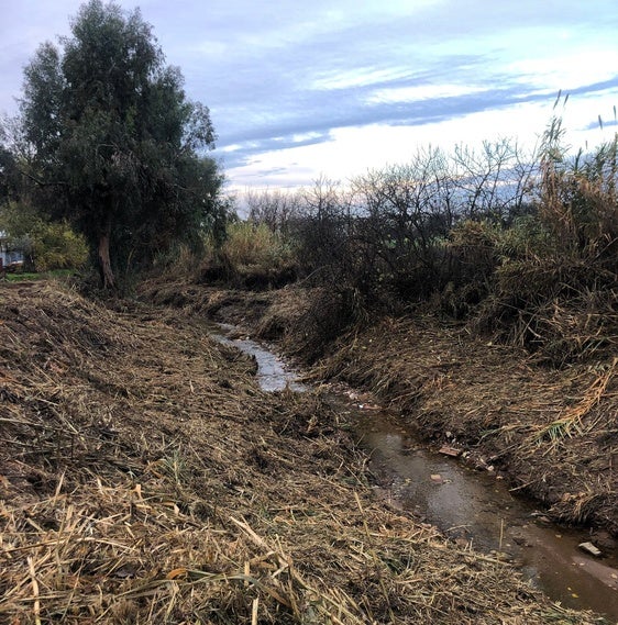 El Área de Medio Ambiente de Andújar acondiciona el entorno del Arroyo Mestanza