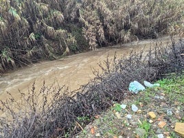 ASÍ BAJABA EL ARROYO MESTANZA EL PASADO MIÉRCOLES POR LA TARDE.