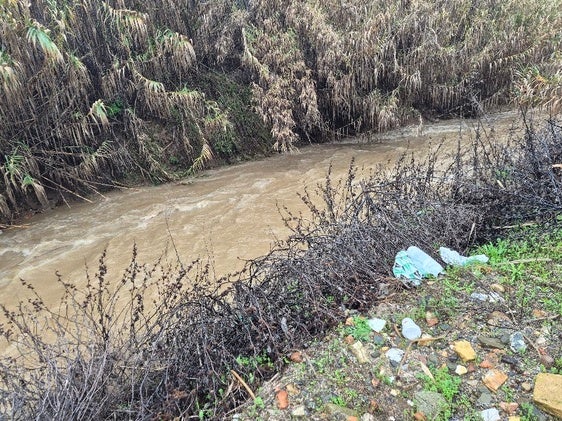 ASÍ BAJABA EL ARROYO MESTANZA EL PASADO MIÉRCOLES POR LA TARDE.