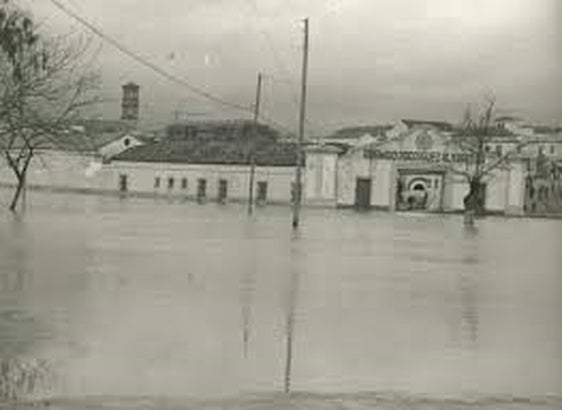 Un Guadalquivir crecido