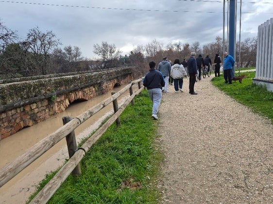 UPA señala que las motas del río han evitado grandes riadas en Andújar