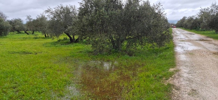 El Consistorio activa un plan para mitigar los efectos del temporal en Andújar