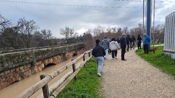 LOS OJOS DEL PUENTE