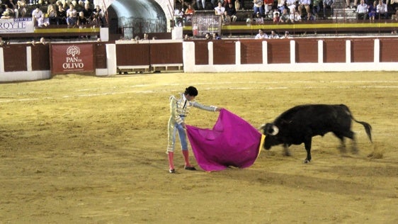 Fuerte polémica por la anulación del festejo taurino de la Feria de Septiembre de Andújar