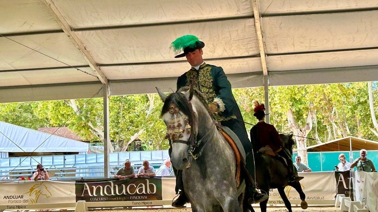 Andújar se convierte en la capital del caballo de Pura Raza Española