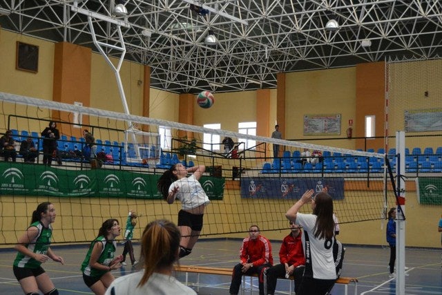 Concentración provincial de voleivol en Marmolejo