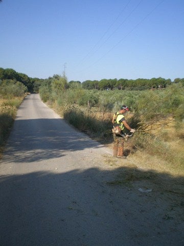 El área de Medio Ambiente despeja de matorral los márgenes de la Carretera de la Cadena