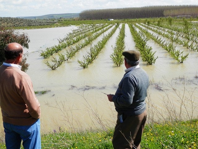 IU señala que el Ayuntamiento no defiende el interés general en el tema de las inundaciones