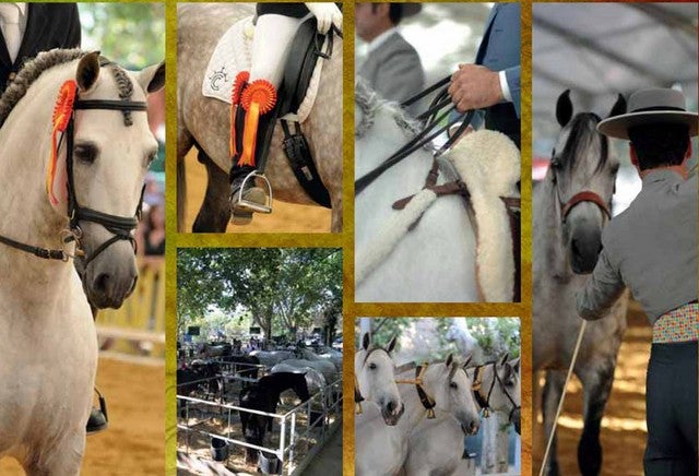Llega la Feria