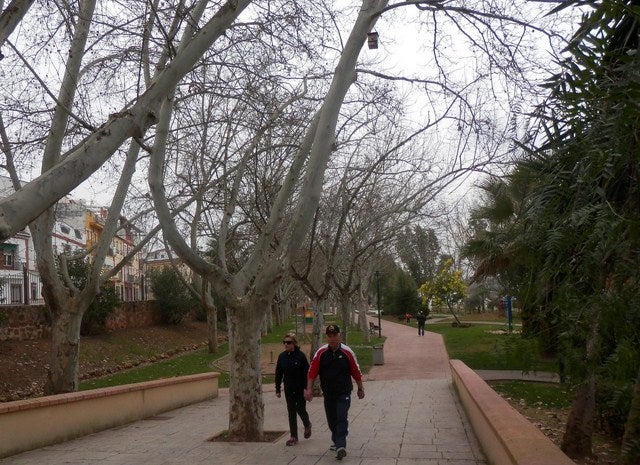 La asociación de vecinos San Bartolomé-Vistillas piden más vigilancia en el parque y su ampliación