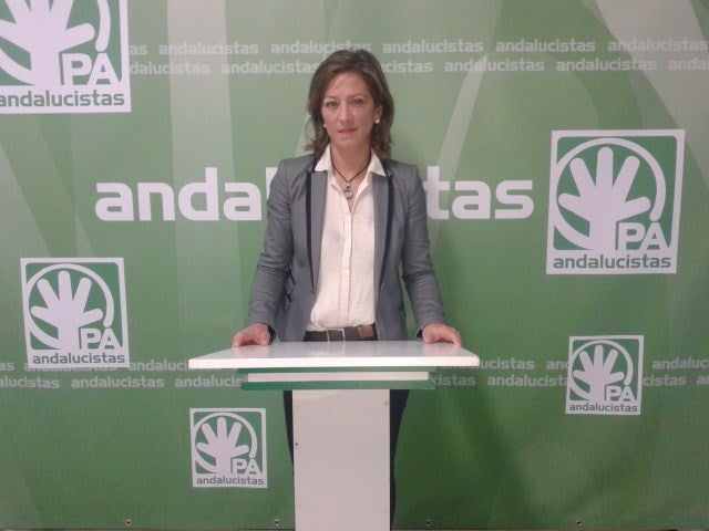 El PA presenta una moción para la creación de una oficina de información de tarifa eléctrica