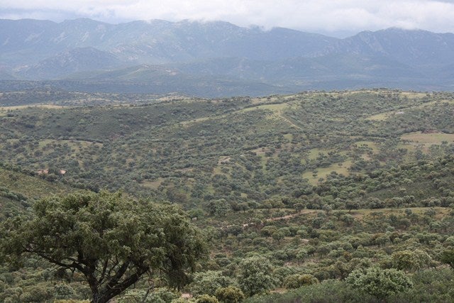Luz verde al desbloqueo de la restricción de las vías pecuarias del Parque Natural
