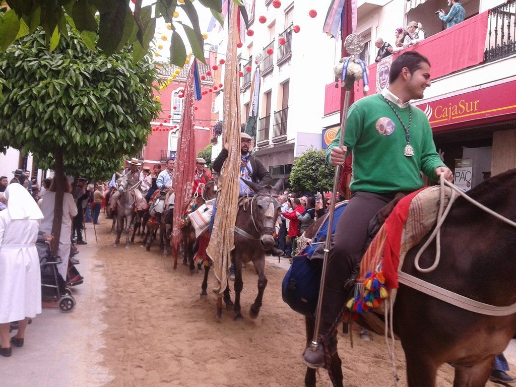 Multitudinario acompañamiento de caballos y jamugas deslumbra en el paseíllo del Sábado de Romería