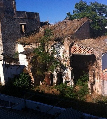 La Asociación Amigos del Patrimonio exige el arreglo urgente del Palacio del Ecijano