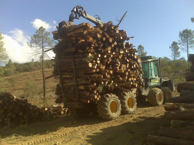 La finca del Fontanarejo es un epicentro de aprovechamientos de recursos naturales y conservación medioambiental