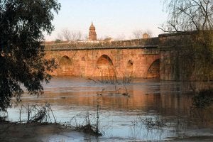 IU denuncia ante el Seprona un posible vertido de alperchín en el Guadalquivir