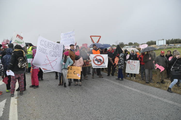 Un empresario pretende construir un complejo de siete granjas de cerdos en una extensión de 1.100 hectáreas en Dehesas de Guadix a dos kilómetros de Cuevas del Campo 