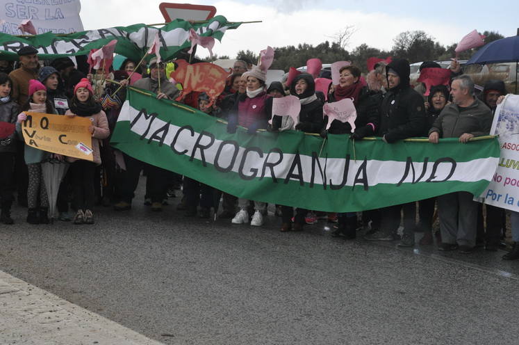 Un empresario pretende construir un complejo de siete granjas de cerdos en una extensión de 1.100 hectáreas en Dehesas de Guadix a dos kilómetros de Cuevas del Campo 