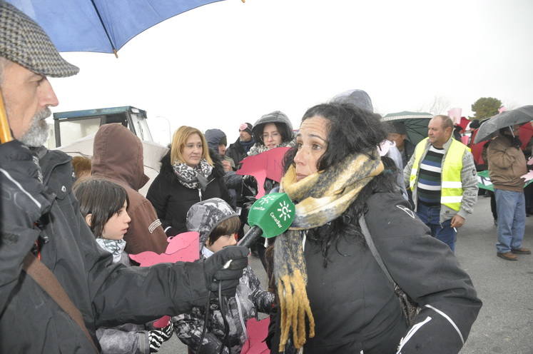 Un empresario pretende construir un complejo de siete granjas de cerdos en una extensión de 1.100 hectáreas en Dehesas de Guadix a dos kilómetros de Cuevas del Campo 