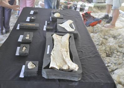 Imagen secundaria 1 - Comienza en Orce la tercera campaña de excavaciones liderada por la Universidad de Granada