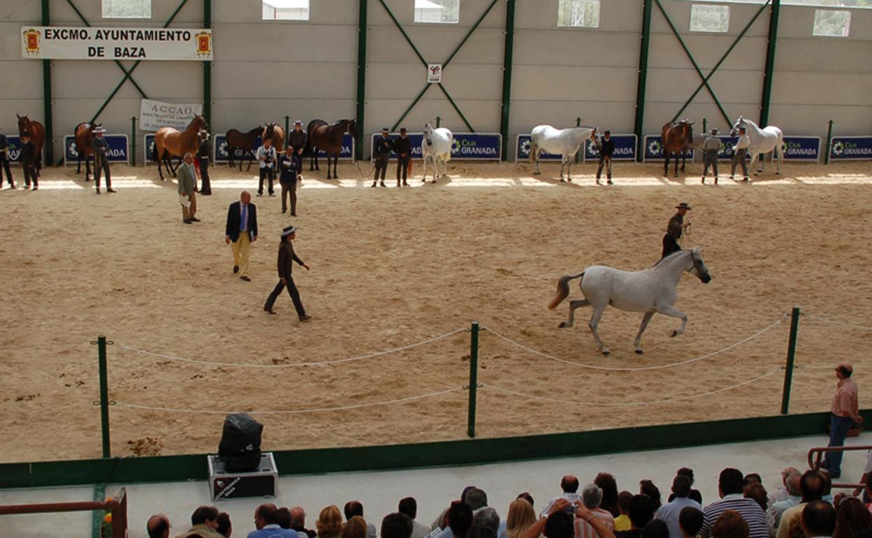 Concurso de un campeonato anterior