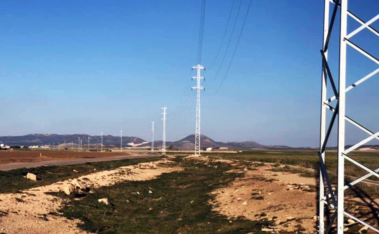 La electricidad llega al campo de La Puebla gracias a las granjas de cerdos