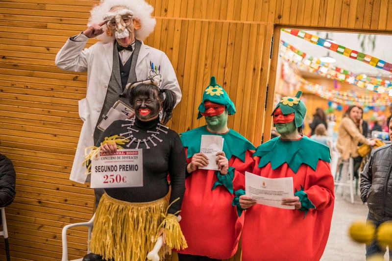 Varias localidades de las comarcas de Baza y Huéscar celebraron este sábado los carnavales 2020 