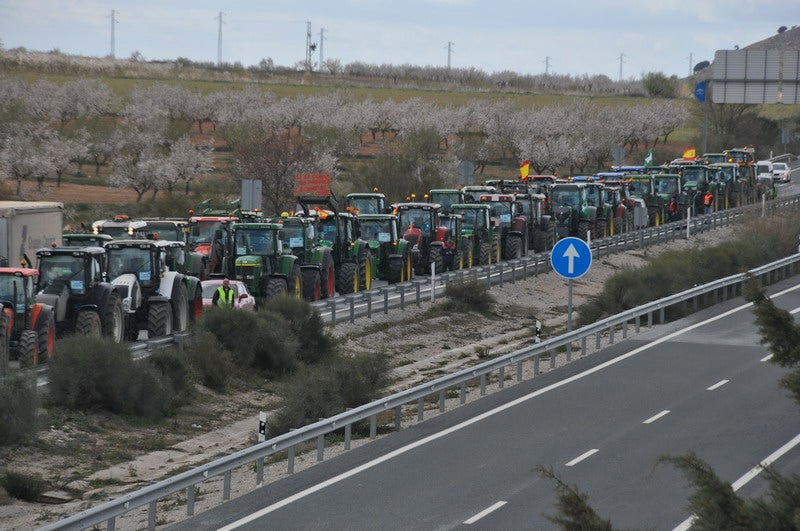 Decenas de tractores marcharon en el norte de la provincia.