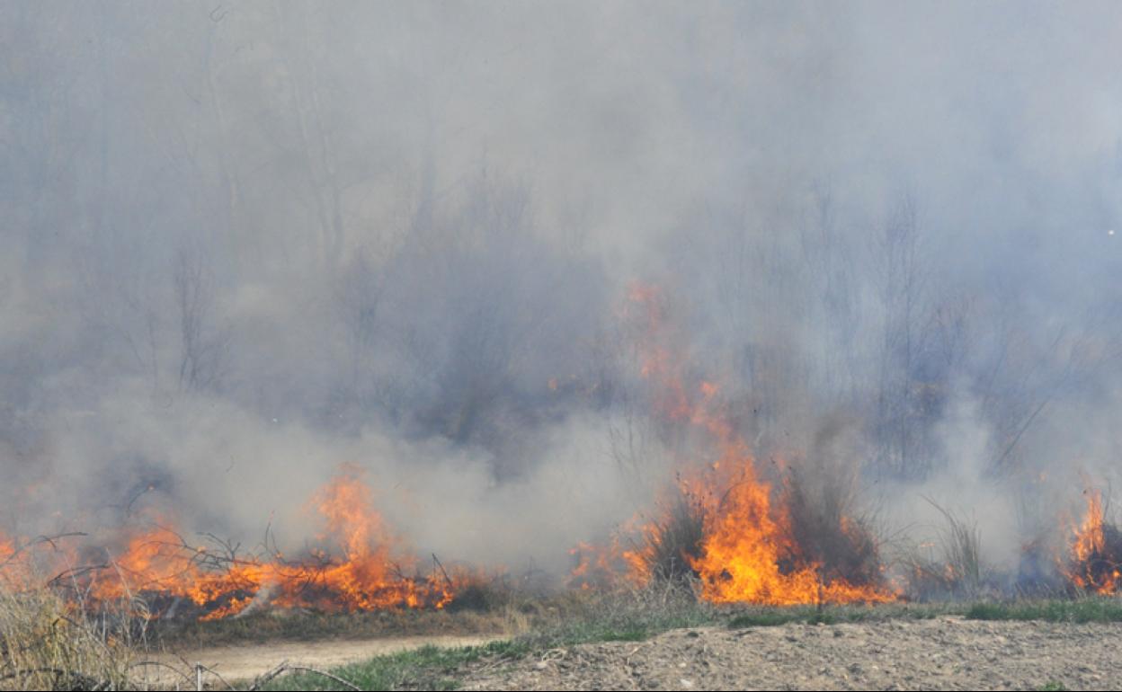Incendio descontrolado por la quema de residuos agricolas en Caniles