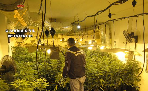 Desarticulados seis centros de producción de marihuana en Granada