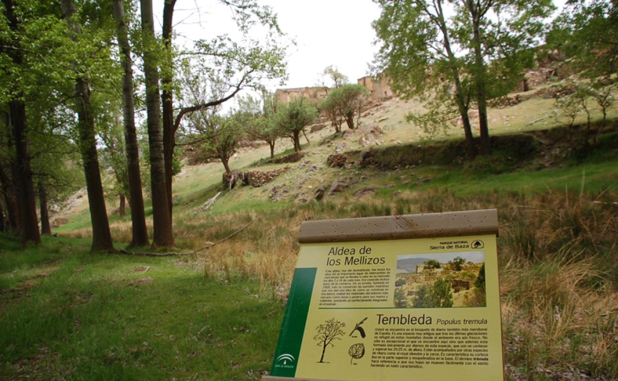 Aldea de los Mellizos en el sendero de los Álamos Centenarios 