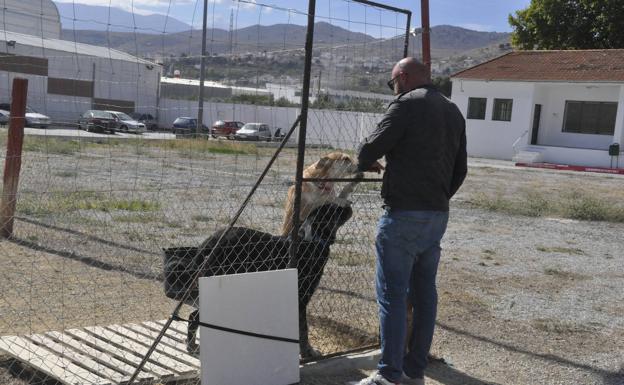 Imagen principal - Instalaciones de la perrera.