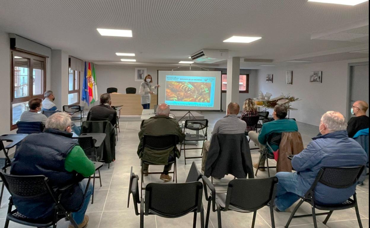 Clase teorica de apicultura 