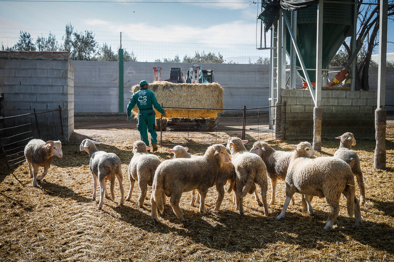 Imagen secundaria 2 - Rafael Izquierdo y las instalaciones de Cebacor en Baza. 