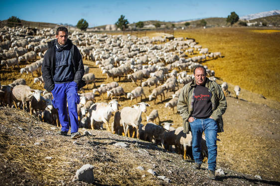 «Las ovejas se han comido nuestros ahorros y estamos en la cuerda floja»