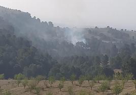 Incendio declarado en el término municipal de Cortes de Baza