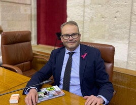Mariano García Castillo, Parlamentario Andaluz del PP