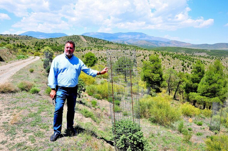 La Junta invierte en la regeneración natural de la vegetación de la Sierra de Baza