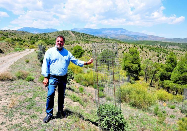 La Junta invierte en la regeneración natural de la vegetación de la Sierra de Baza