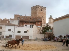 Demostración de la trilla celebrada en Orce durante la feria