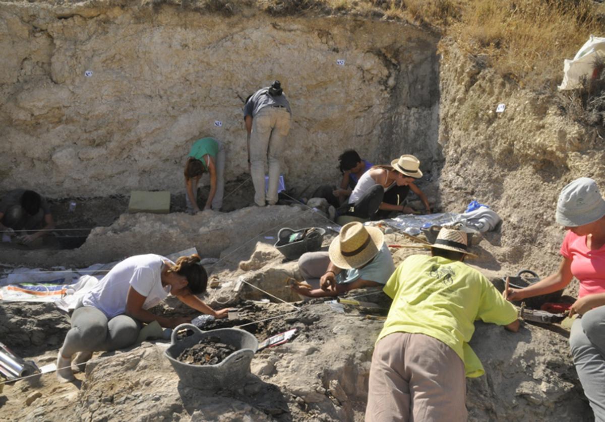 Comienza la séptima campaña de excavaciones en el yacimiento Baza 1